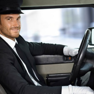 Monthly Car With Driver